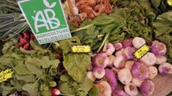 légumes biologiques