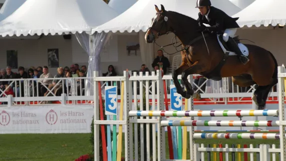 Mondial du Lion d'Angers - FTV