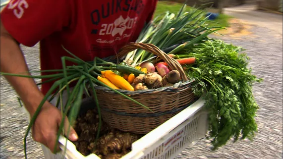 un marché bio