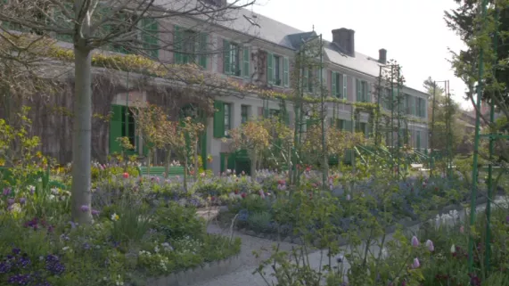 MAISON MONET MAISON MONET