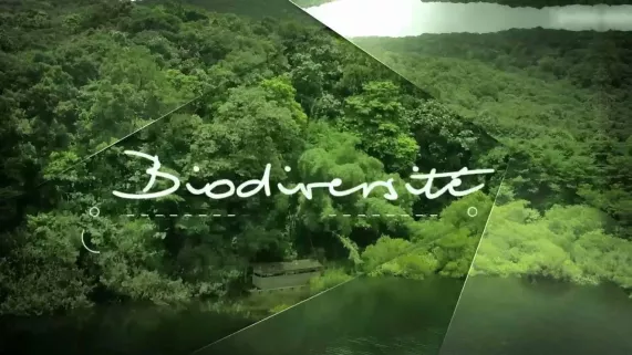 la biodiversité
