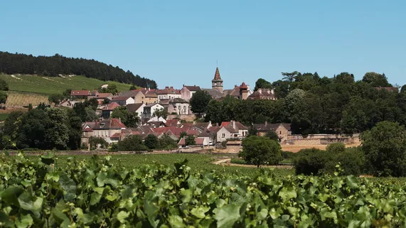 Paysage de Bourgogne