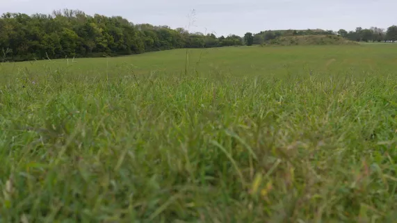 © Blink Entertainment LA MYSTERIEUSE CITE DE CAHOKIA