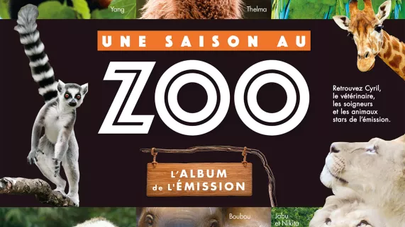Une saison au zoo