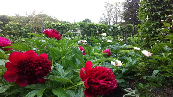 jardin des Sciences Dijon