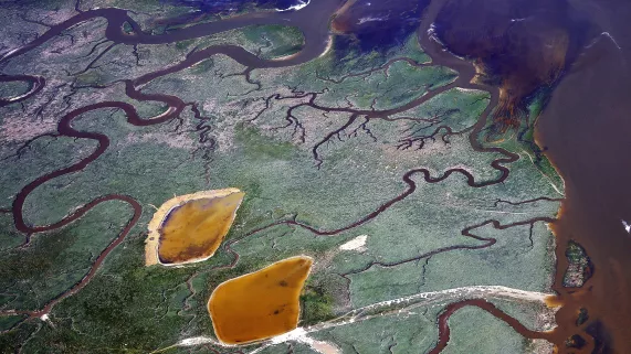 Couleurs Baie de Somme