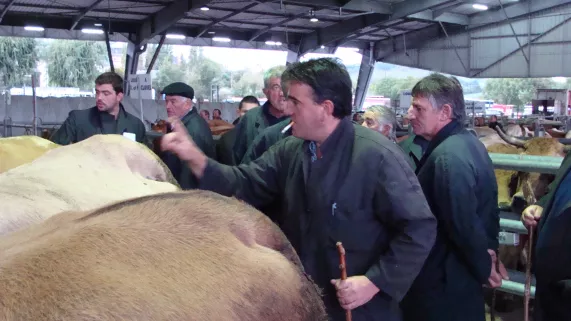 La Blouse et la Canne