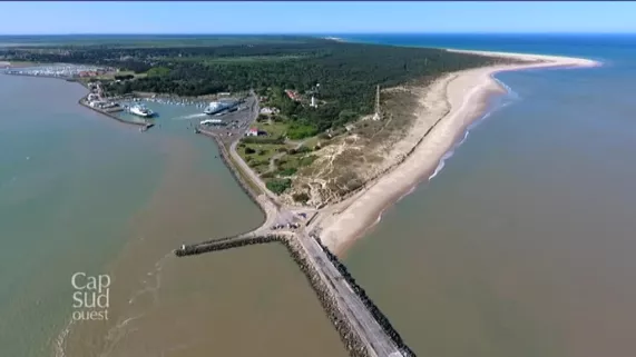 Cap Sud Ouest - Le médoc , entre deux eaux