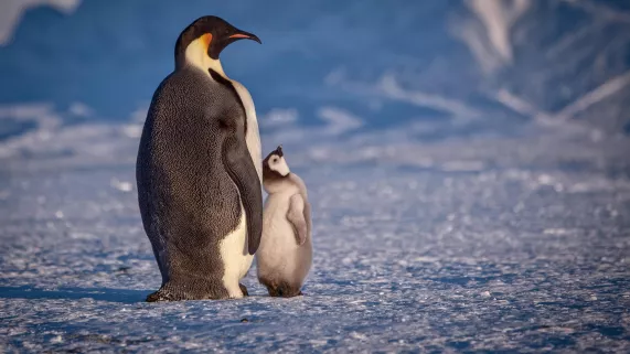 GRANDEURS NATURE