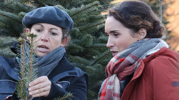 Le bois, une branche d'avenir