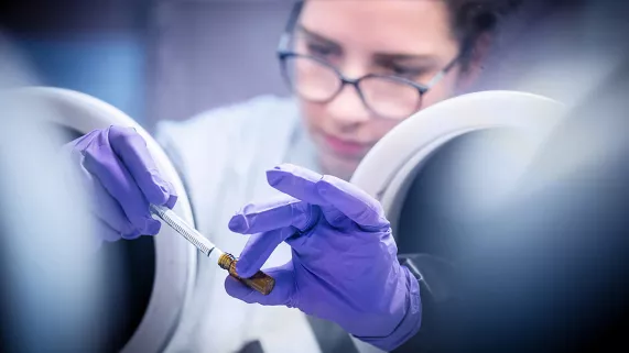 L'avenir économique régional