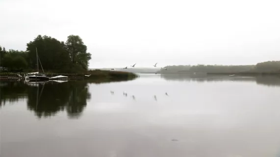 Oiseaux en envol - © Nomades TV