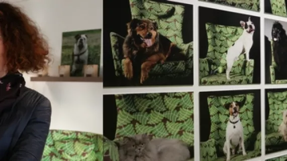 MS Lacarrau et les animaux MS Lacarrau et les animaux