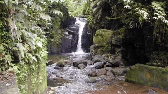 Parc Naturel de Martinique