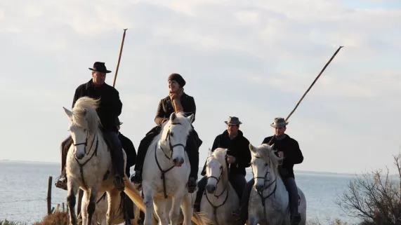 Chroniques Méditerranéennes