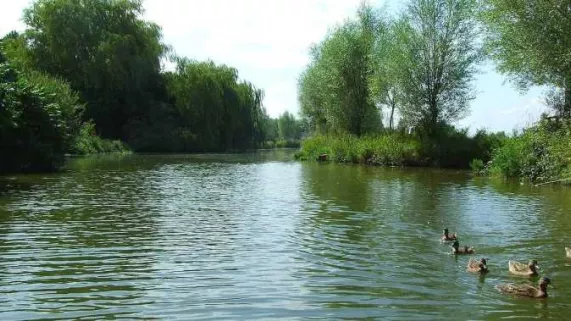 nature