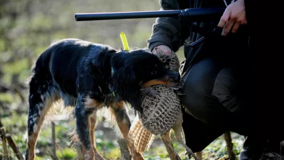 chasseur