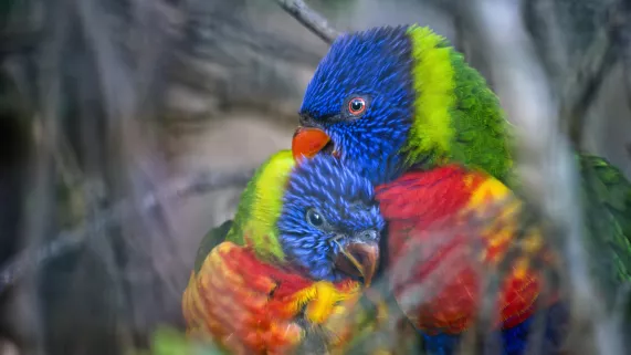 Walkerlee - Fotolia UNE SAISON AU ZOO