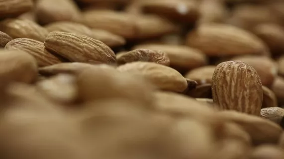 © Babel Doc RUEE SUR L'AMANDE