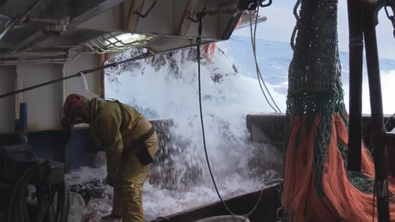 ©Thalassa/FTV THALASSA