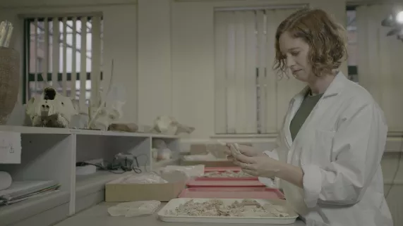 © Lina Zilinskate / Blink Films STONEHENGE