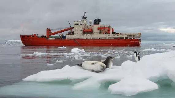 Antarctique © Brieuc Delbot  Antarctique © Brieuc Delbot