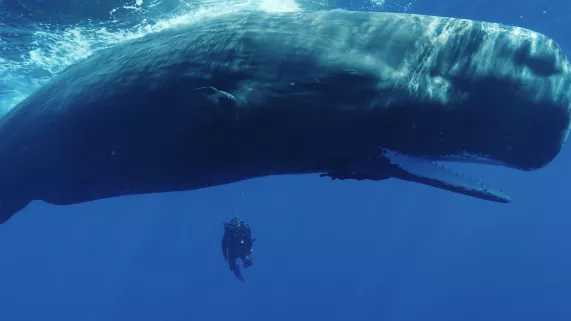 LA PLANETE DES GEANTS  GEANTS