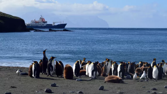 « MARION DUFRESNE », NAVIRE DES ILES EXTREMES