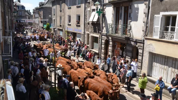 EMISSION SPECIALE  FETE DE L'ESTIVE