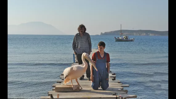 © Laurent Thurin Nal Nicostratos le pelican