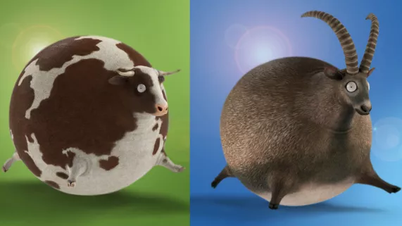 Animaux habillage 