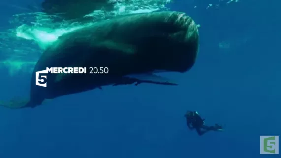 BA La Planète des géants BA La Planète des géants