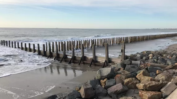 © Elle Est Pas Belle La Vie SALE TEMPS POUR LA PLANETE