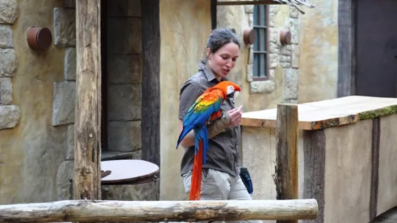 La Vie sauvage au coeur de l'Auvergne Soigneur et perroquet