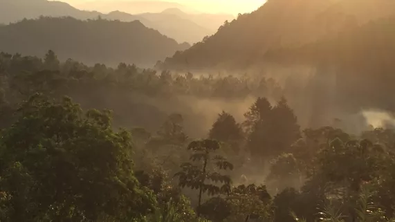 © Patly Productions VU SUR TERRE