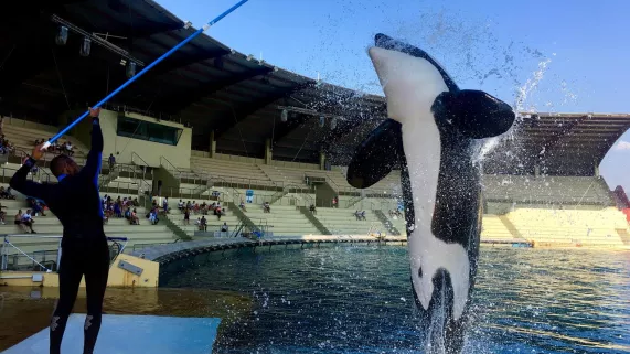 marineland marineland