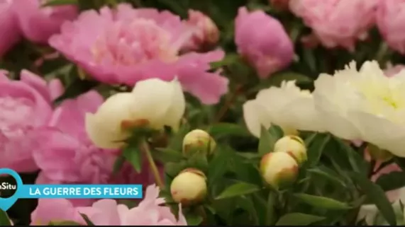 La Guerre des fleurs