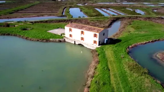 La Seudre, histoire d'eaux La Seudre