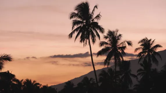 noix de coco noix de coco