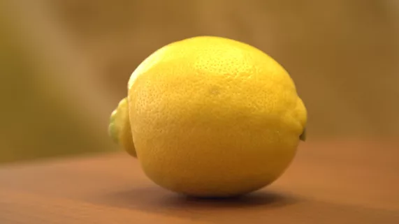 LE CITRON A-T-IL UN PEPIN ?
