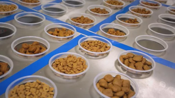 La Feelgood Company QUELLES CROQUETTES POUR NOS BÊTES ?