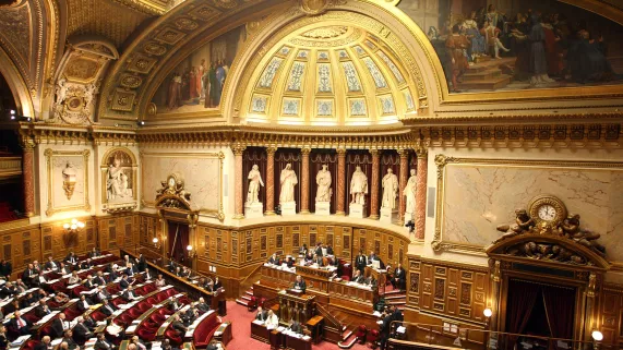 senat senat