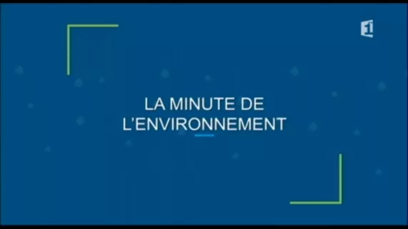 La minute de l'environnement