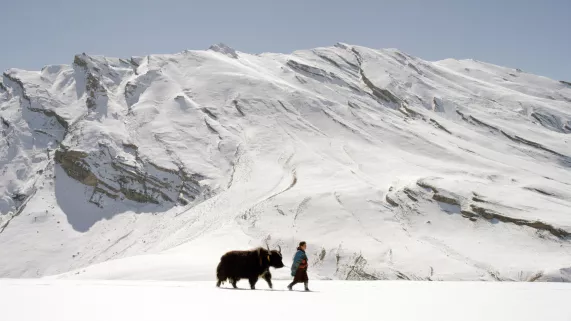 MONTAGNES SAUVAGES