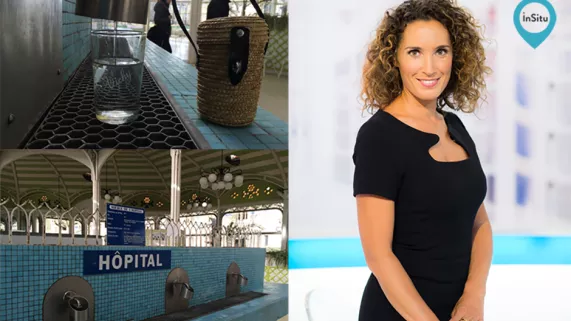 Illustration In Situ