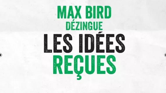 visuel max bird