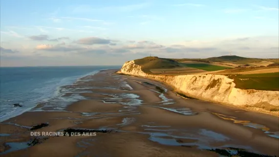 Cap Blanc-Nez-côte d’Opale©troisièmeoeil  