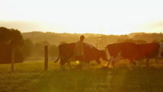 LE CHAMP DES POSSIBLES