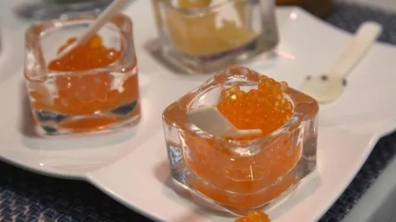 OEUFS DE POISSON, L'OR DE LA MER