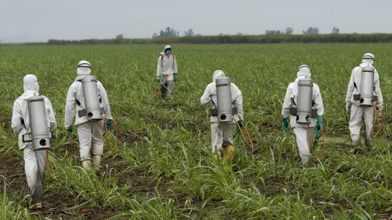 Glyphosate Glyphosate